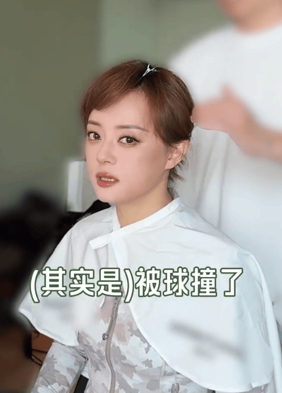 收藏, 孙俪工作室